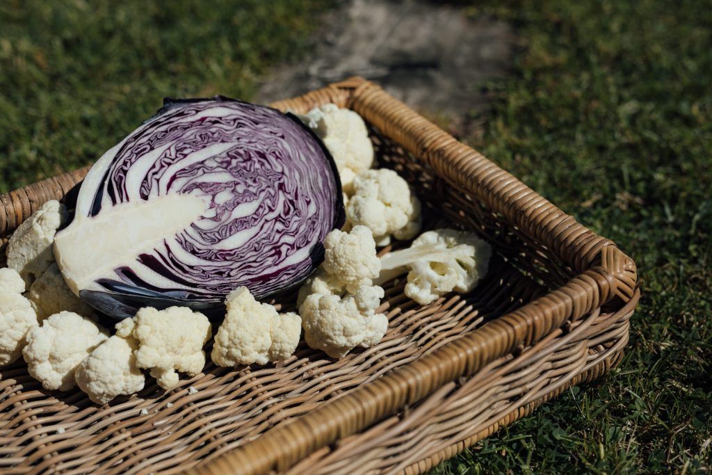 Beneficios de la col lombarda y dos recetas saludables